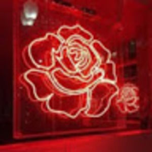 Meet your Posher, Kylee